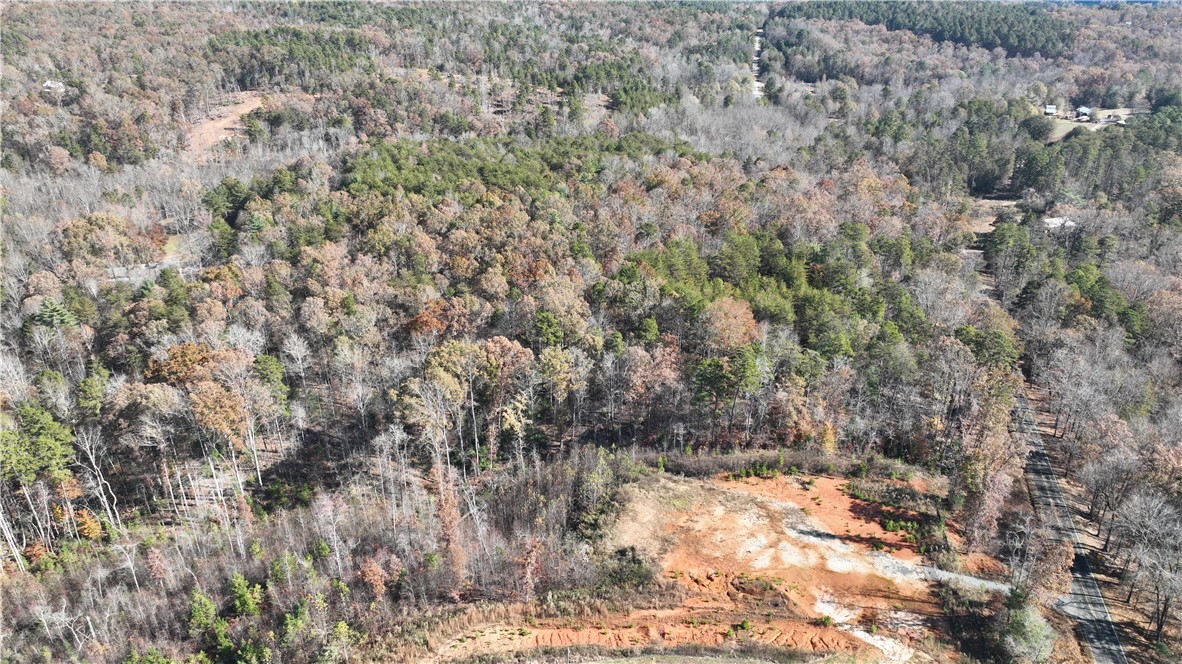 0 Shallow Ford Road Salem, SC 29676 - Photo 6 of 14