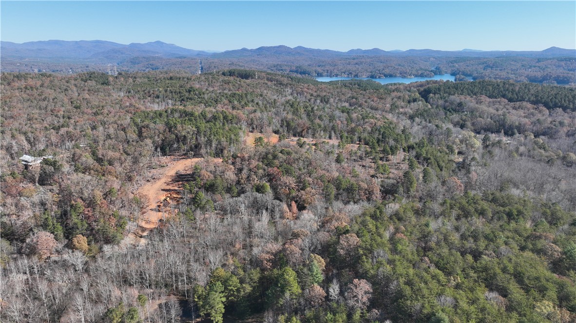 0 Shallow Ford Road Salem, SC 29676 - Photo 9 of 14