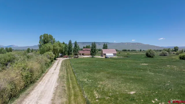 a view of a terrace with a garden