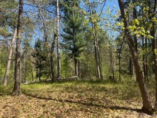 8293 Interlachen Road Lake Shore, MN 56468 - Photo 4 of 10