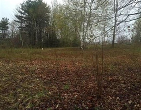 Lot 0 Main Road Granville, MA 01034 - Photo 7 of 8 Gallery Image 7