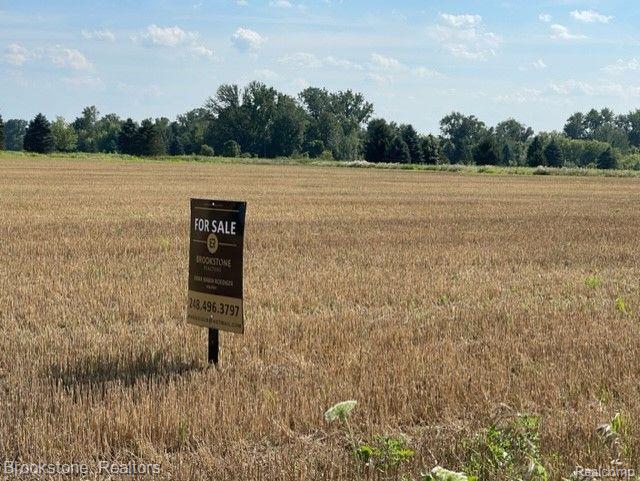 78955 Brown Road Romeo, MI 48065 - Photo 6 of 23
