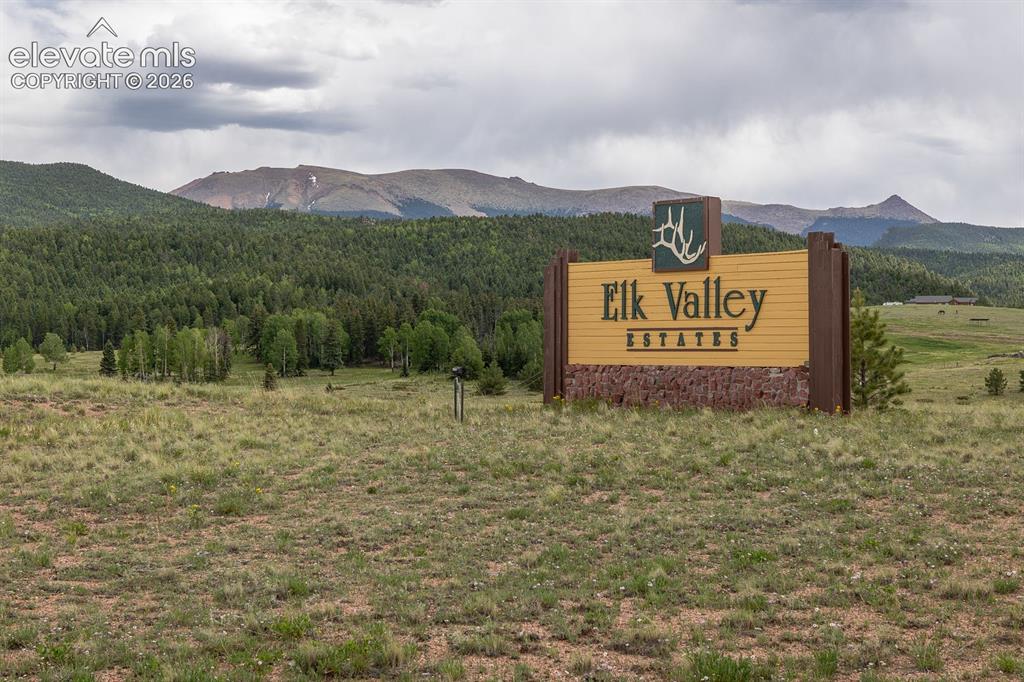 6100 Elk Valley Road Divide, CO 80814 - Photo 2 of 50