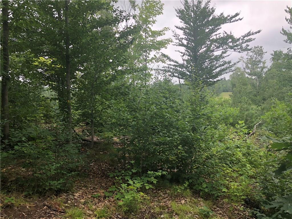 Tbd Woodman Road New Gloucester, ME 04260 - Photo 4 of 4 Photo