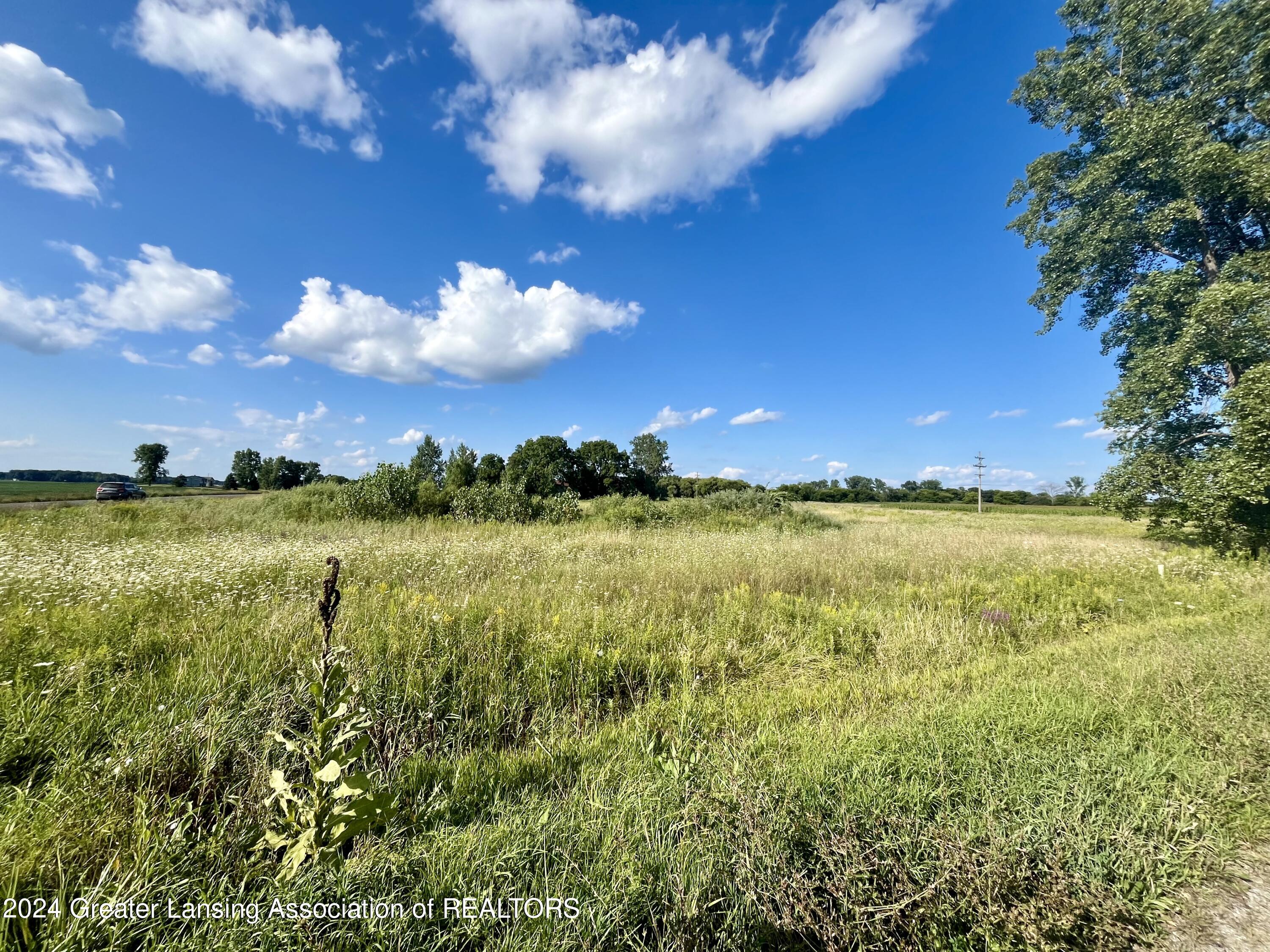 0 East Kinley Road Ovid, MI 48866 - Photo 1 of 8 0 Kinley Rd