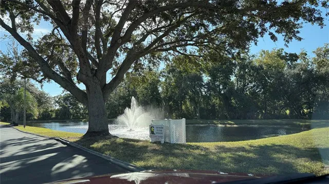 $1,195 | 3956 Elvira Court, New Port Richey, FL 34655