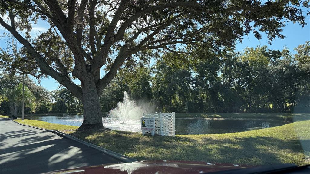 3956 Elvira Court New Port Richey, FL 34655 - Photo 20 of 21