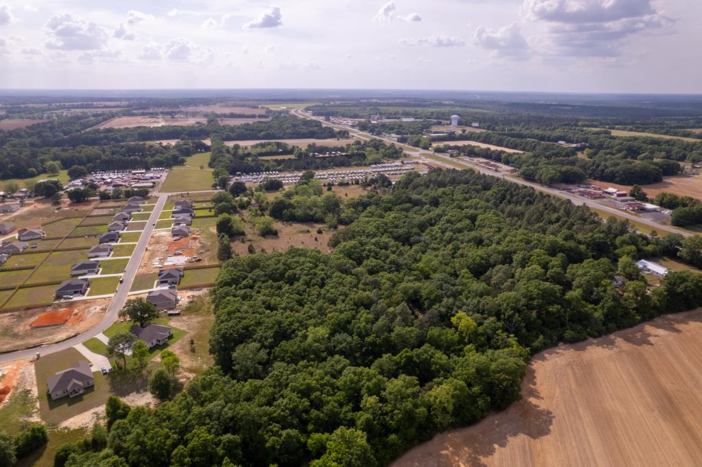 0 Hubbard Road Newton, AL 36352 - Photo 10 of 15