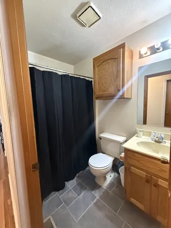 a bathroom with a toilet a sink and mirror
