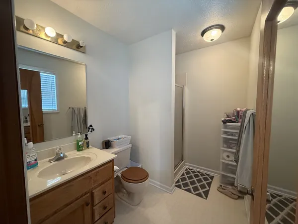 a bathroom with a sink a toilet and mirror