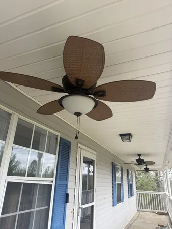 a view of a park with lots of trees and plants