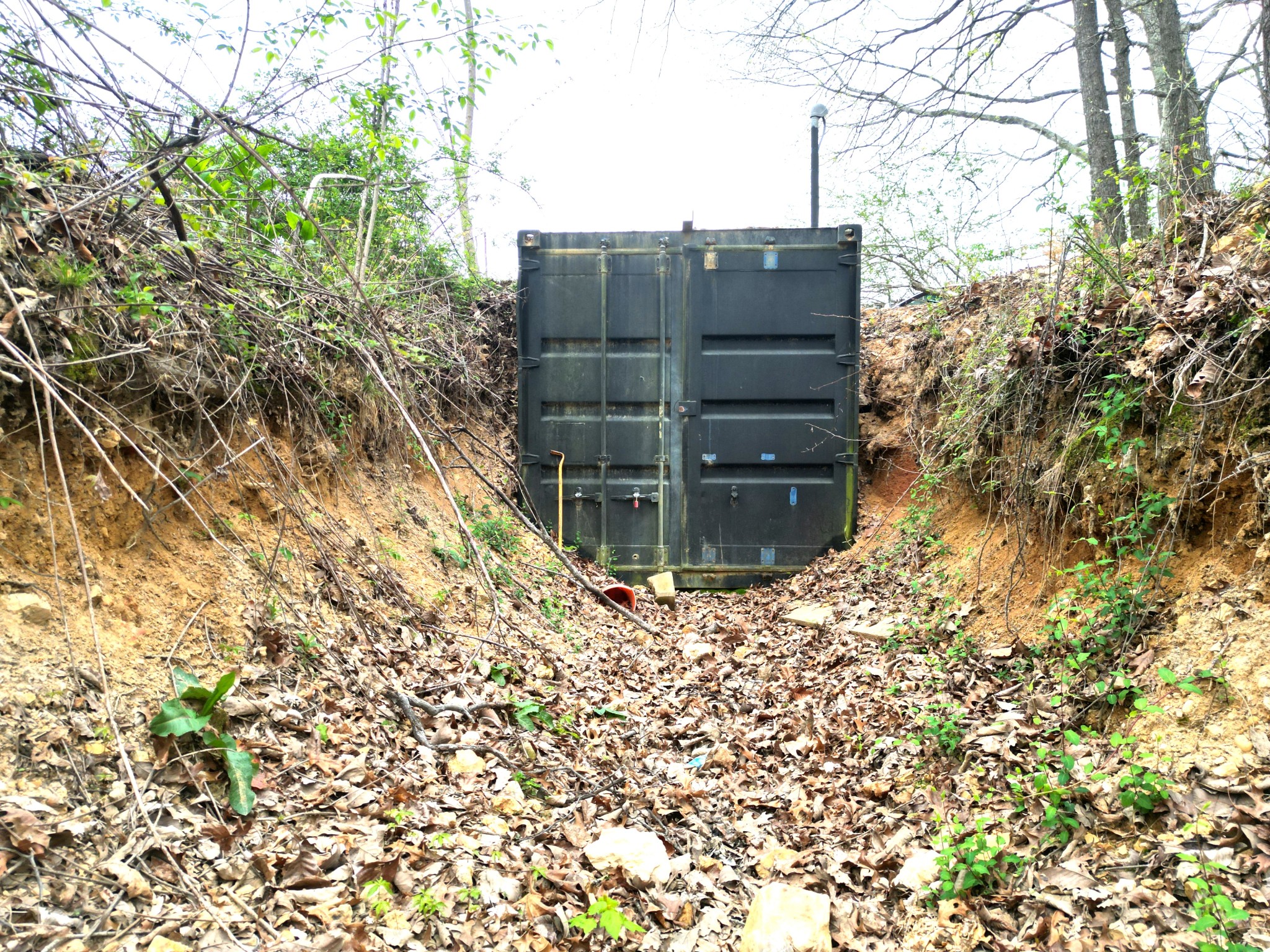 150 Deerwood Road Hohenwald, TN 38462 - Photo 50 of 56 a view of a wooden door and covered with tall trees