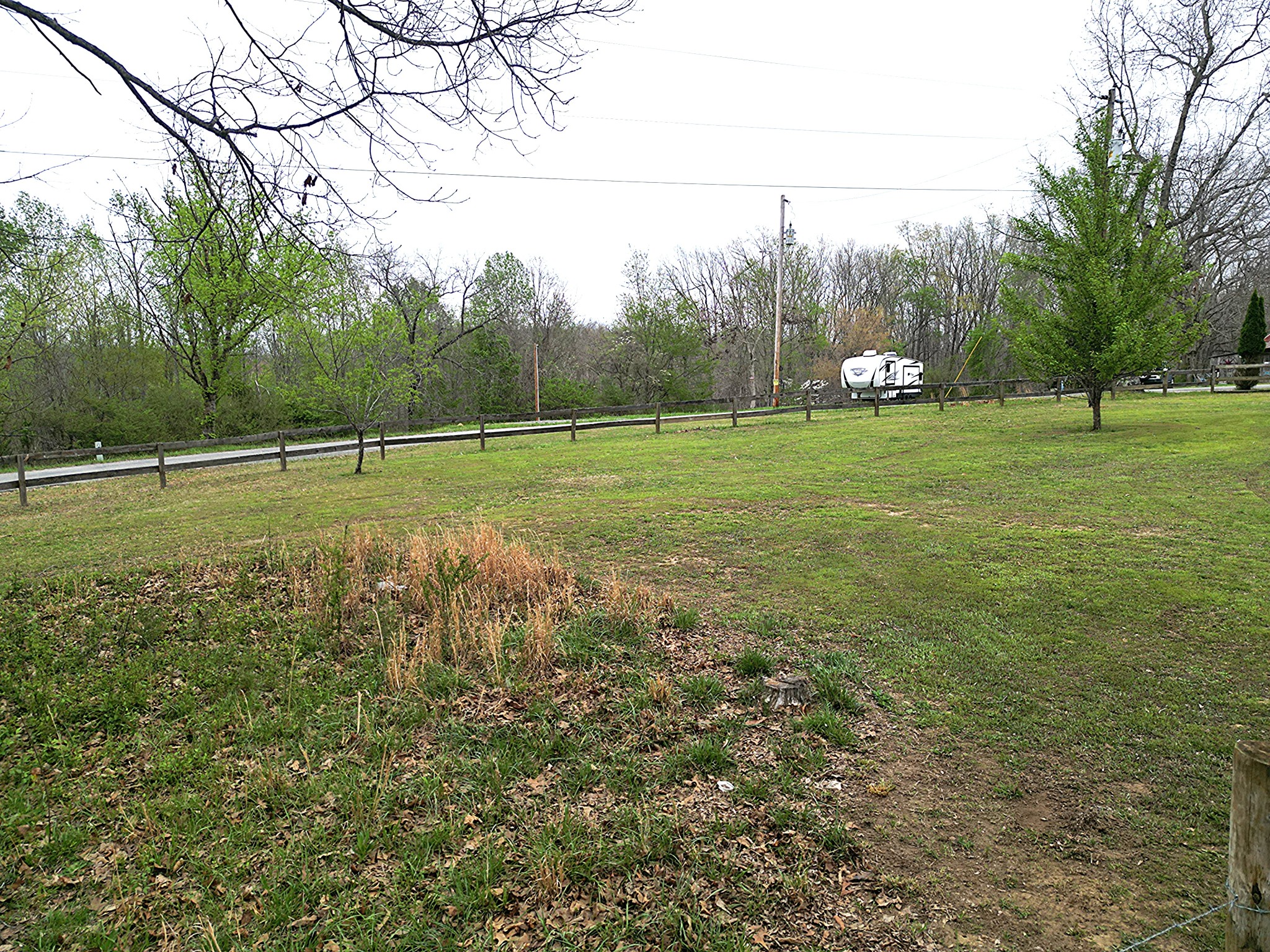 150 Deerwood Road Hohenwald, TN 38462 - Photo 53 of 56 a view of a park