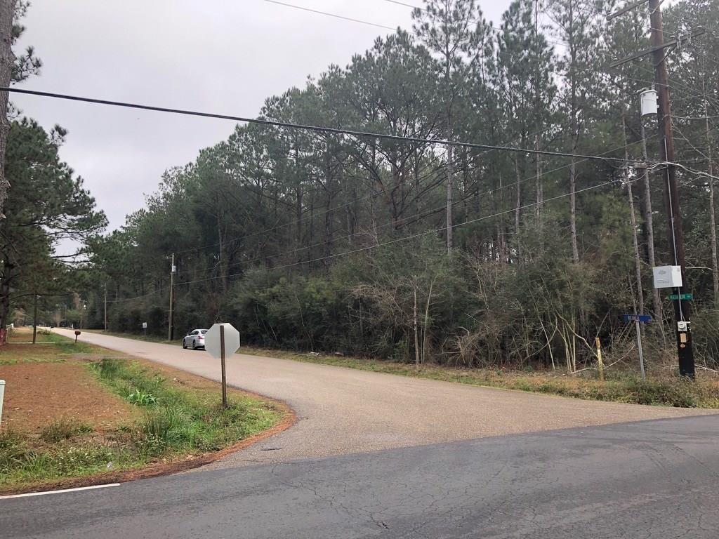 0 Sharp Road Mandeville, LA 70471 - Photo 8 of 9 Gallery Image 8