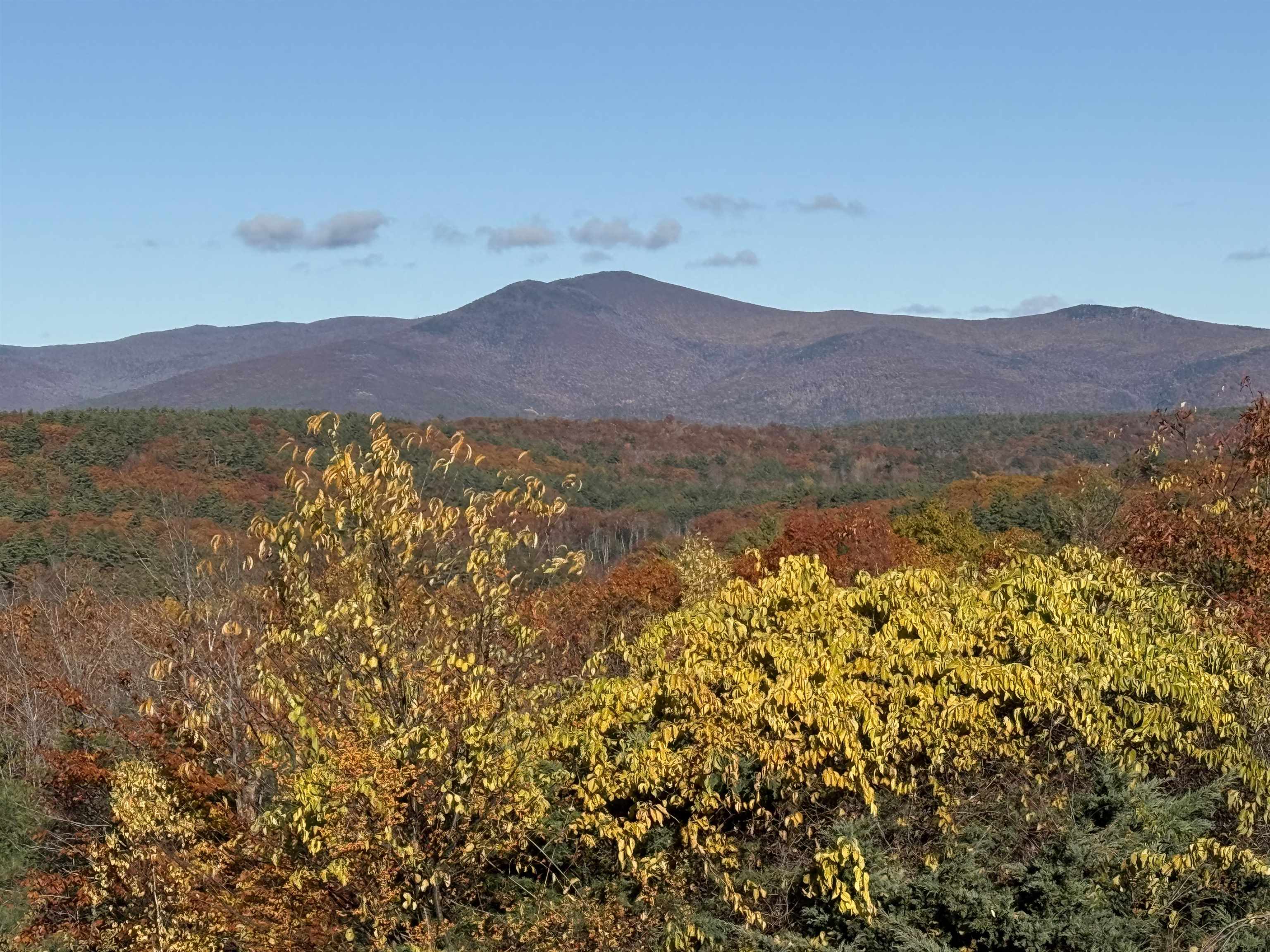 36 Blueberry Hill Road Wolfeboro, NH 03894 - Photo 15 of 59