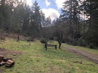 716 Porter Creek Road Winston, OR 97496 - Photo 4 of 11 IMG_9123