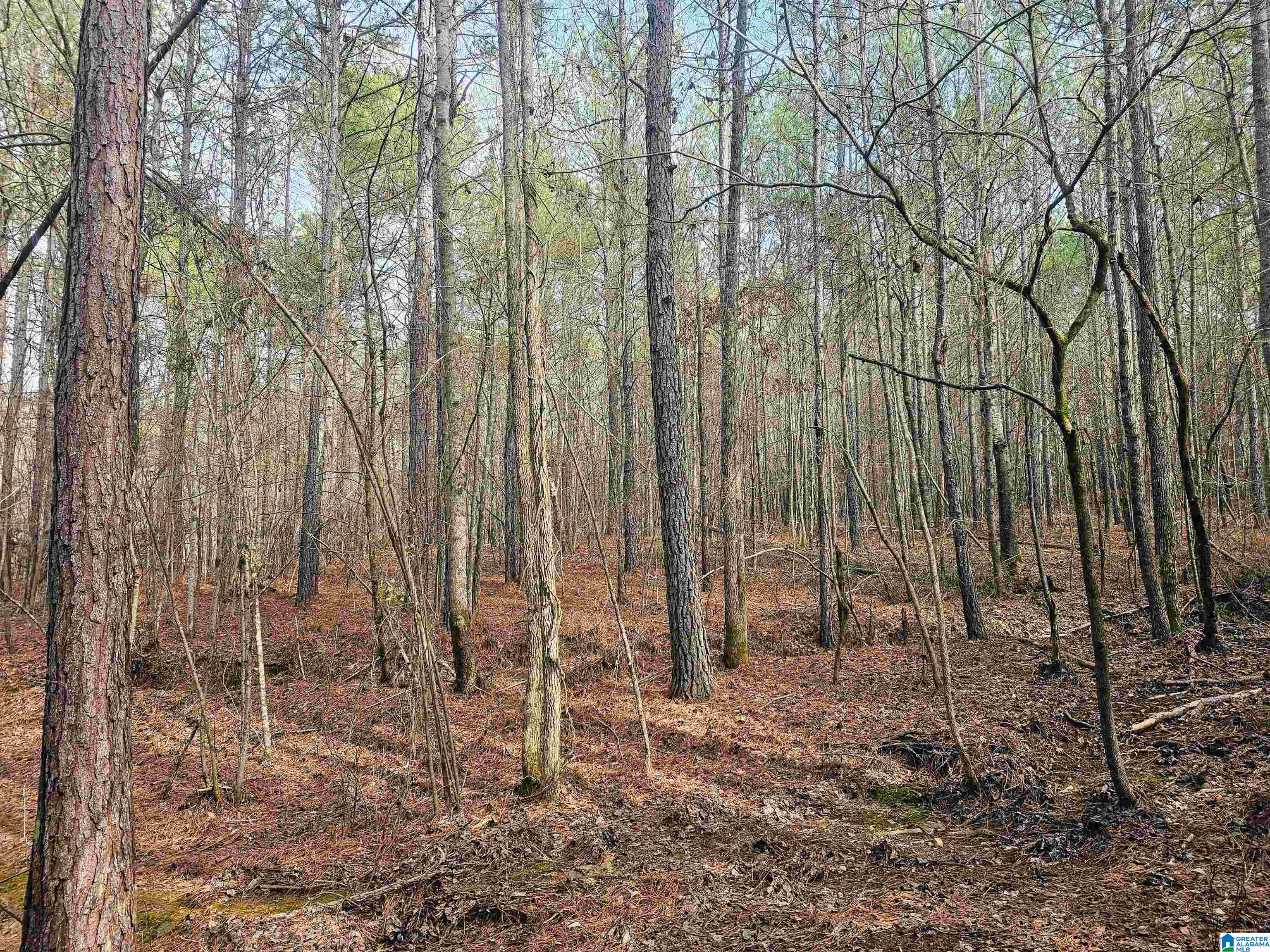 15 County Road 15, Unit 3 92 Heflin, AL 36264 - Photo 9 of 11