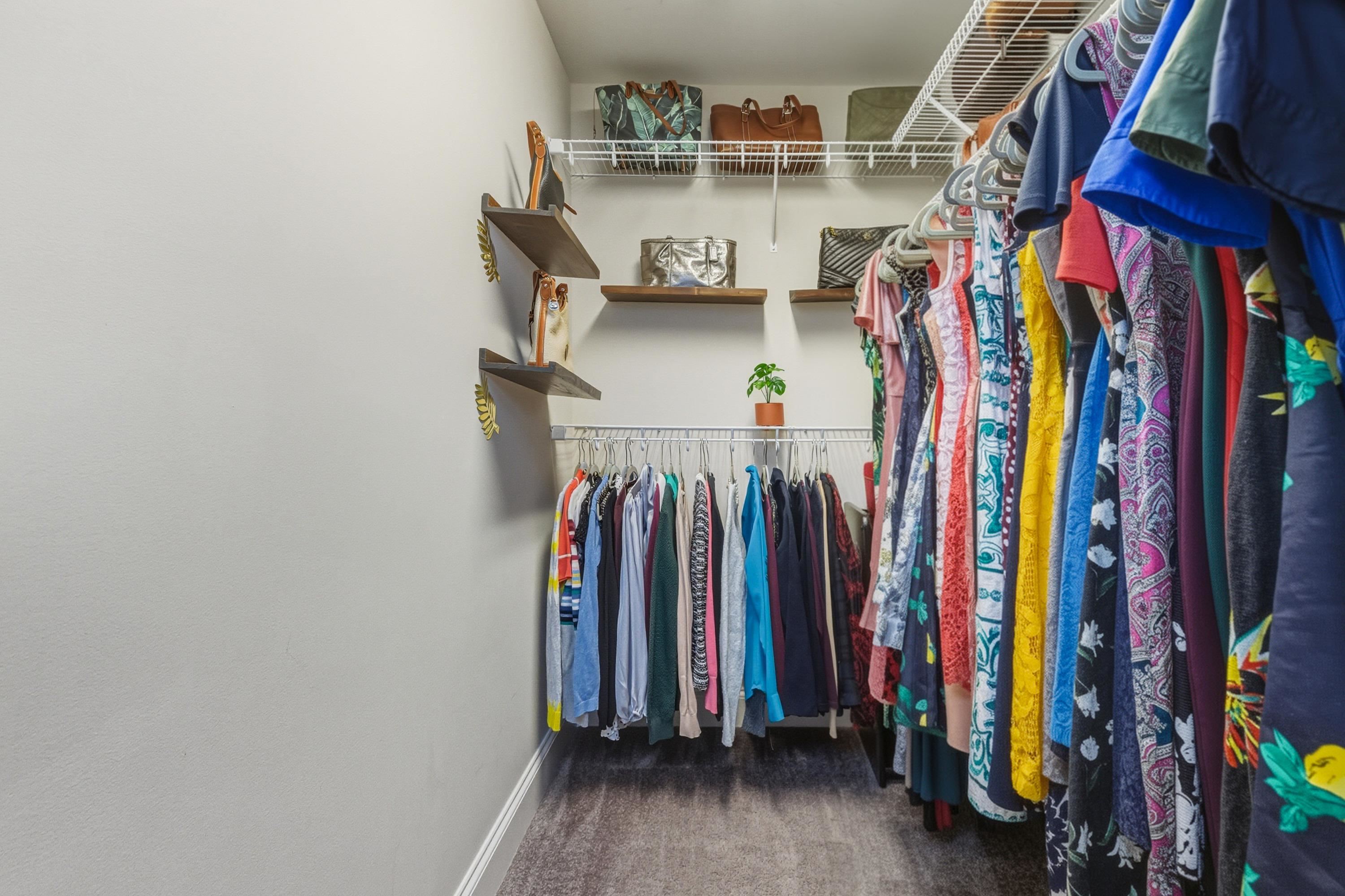 470 Callaway Circle Harrisonburg, VA 22801 - Photo 44 of 73 a view of walk in closet with clothes