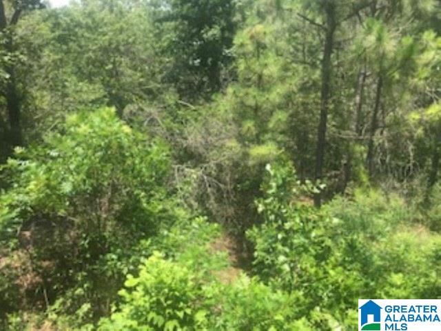 175 Myra's Way Pell City, AL 35128 - Photo 26 of 33