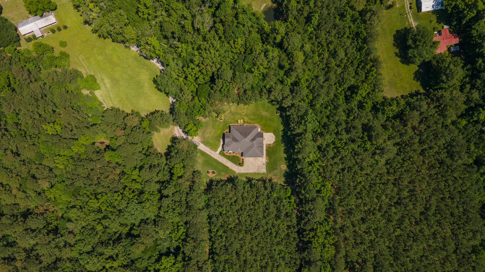 428 School Street Ridgeville, SC 29472 - Photo 4 of 62 DJI_0081