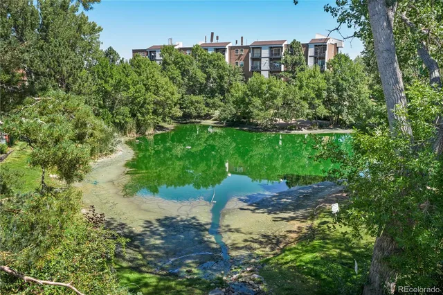 a view of a pathway both side of yard