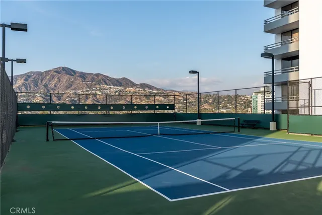 an outdoor space with plants