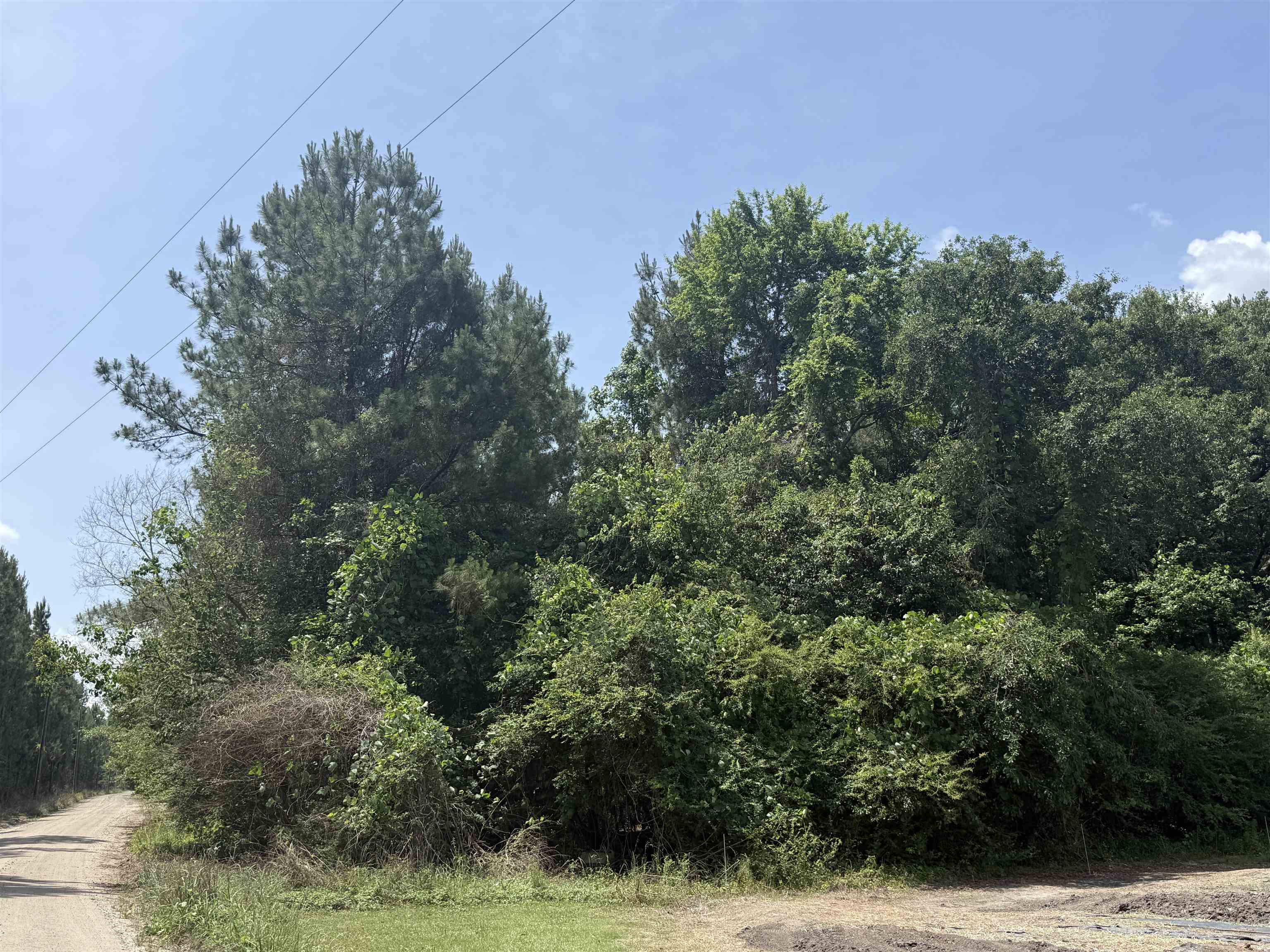 Lot 1 Brantly Road Andrews, SC 29510 - Photo 4 of 5