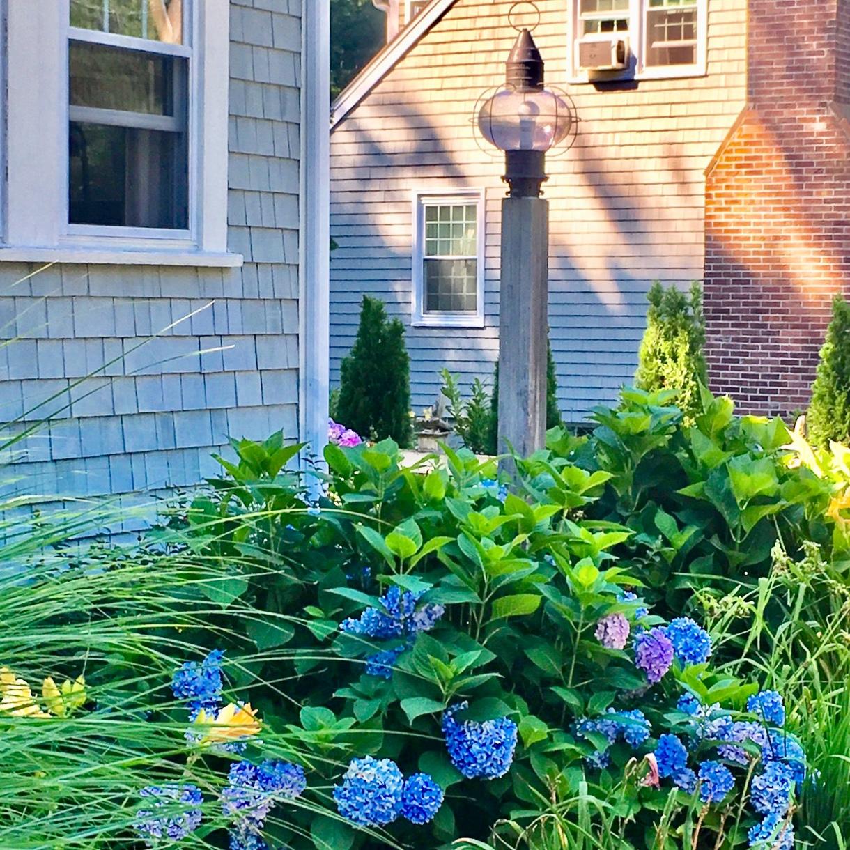 400 Delano Road Marion, MA 02738 - Photo 13 of 21 Hydrangeas