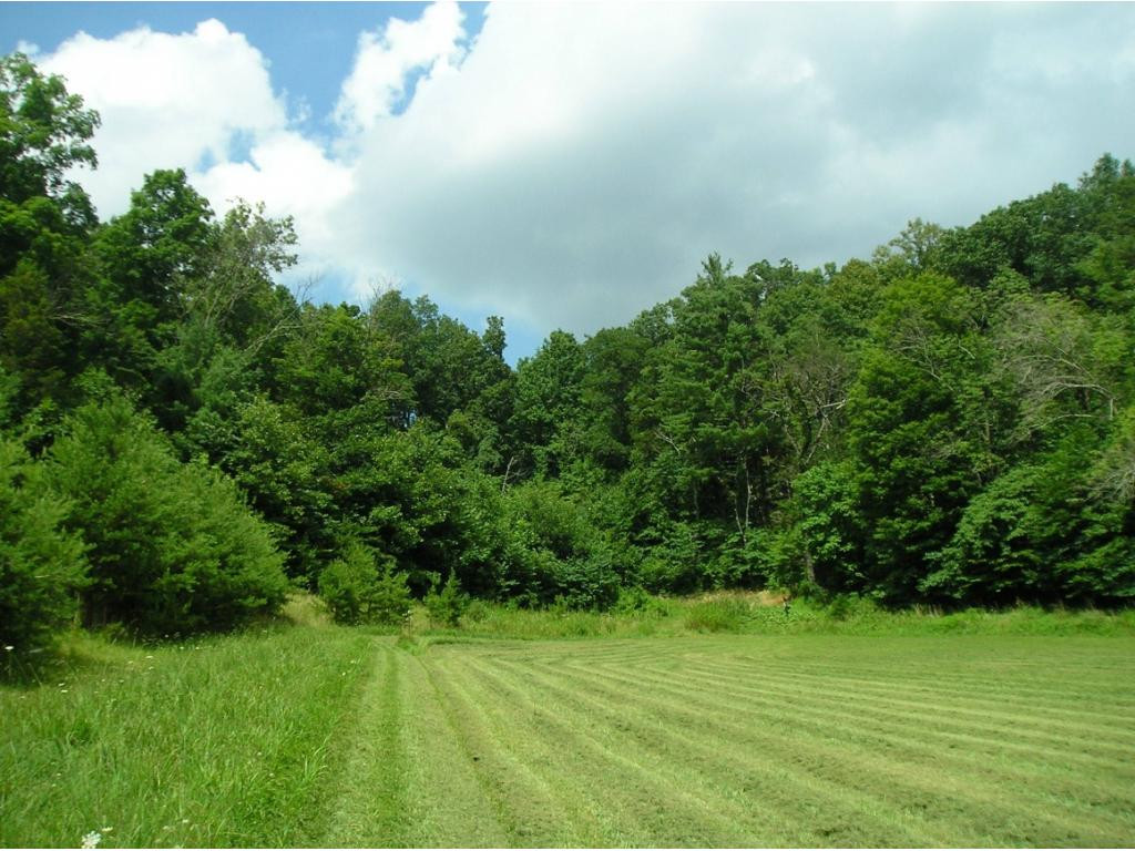 0 Whispering Pines Road Unicoi, TN 37692 - Photo 3 of 14 Photo 3