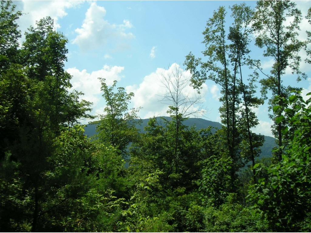 0 Whispering Pines Road Unicoi, TN 37692 - Photo 8 of 14 Photo 8
