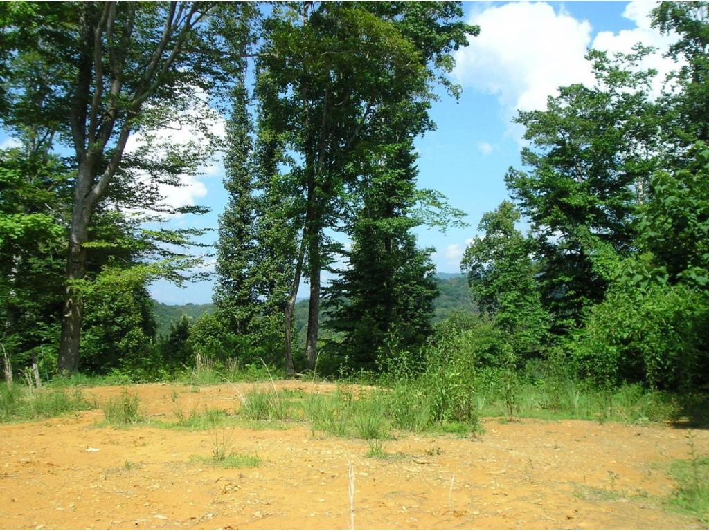 0 Whispering Pines Road Unicoi, TN 37692 - Photo 9 of 14 Photo 9