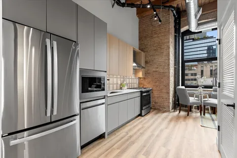$2,350 | 153 West Ohio Street, Unit 103, Chicago, IL 60654
