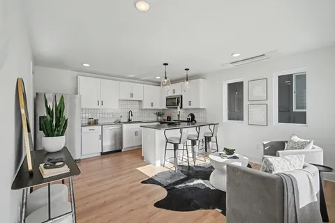 a living room with furniture a kitchen view and a potted plant