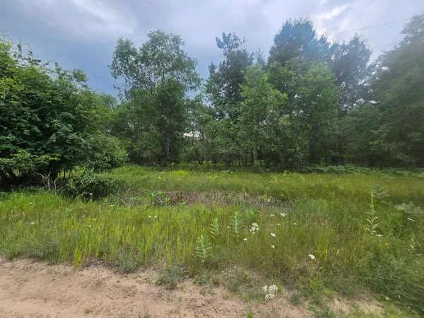 $59,900 | 11660 Behlke Road Southeast, Fife Lake, MI 49633