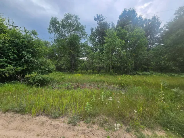 $59,900 | 11660 Behlke Road Southeast, Fife Lake, MI 49633