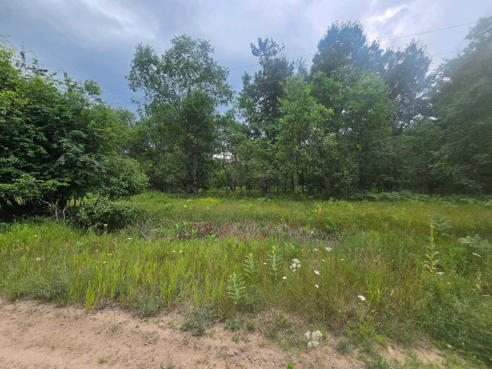 11660 Behlke Road Southeast Fife Lake, MI 49633 - Photo 2 of 16 2