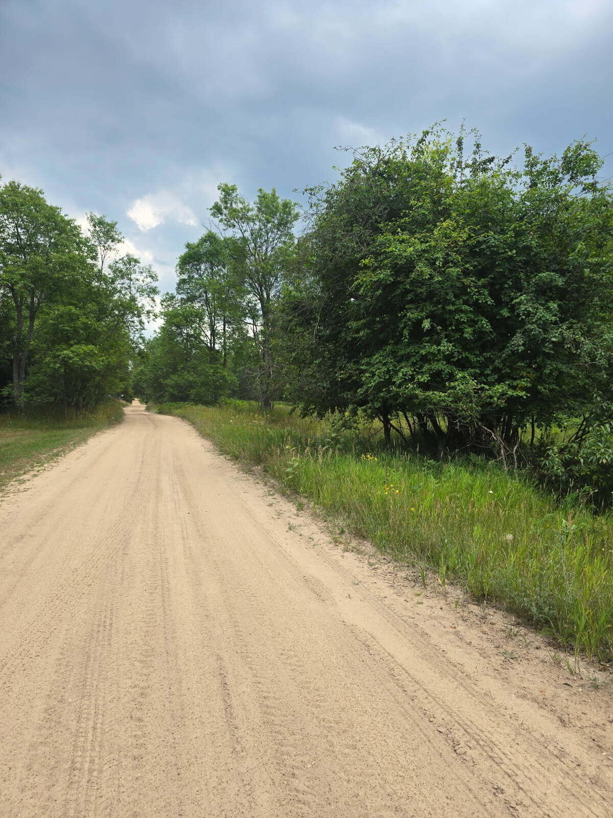 11660 Behlke Road Southeast Fife Lake, MI 49633 - Photo 3 of 16 3