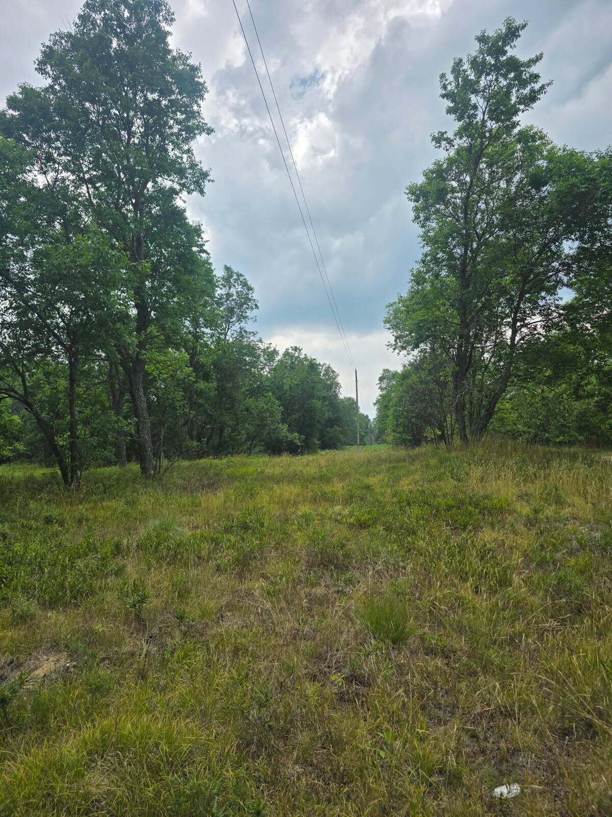 11660 Behlke Road Southeast Fife Lake, MI 49633 - Photo 4 of 16 4