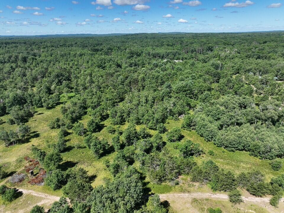 11660 Behlke Road Southeast Fife Lake, MI 49633 - Photo 9 of 16 9