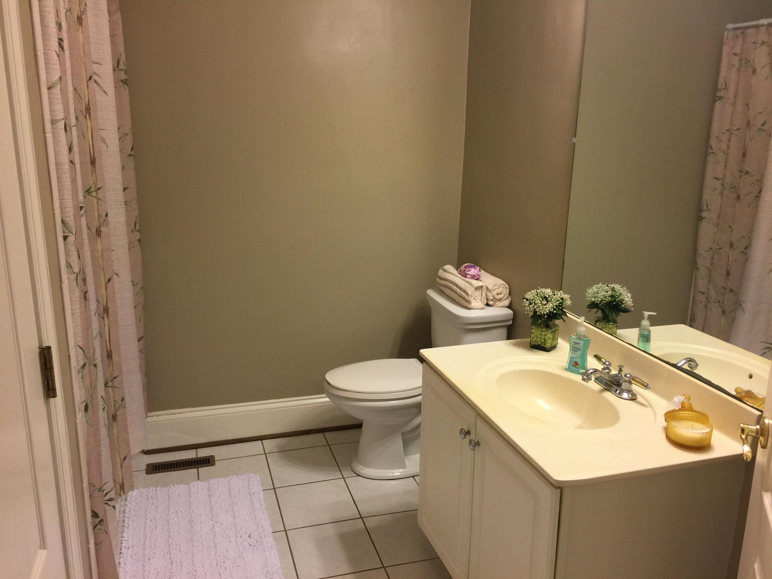 112 South Moore Road Chattanooga, TN 37411 - Photo 10 of 25 Main Bathroom