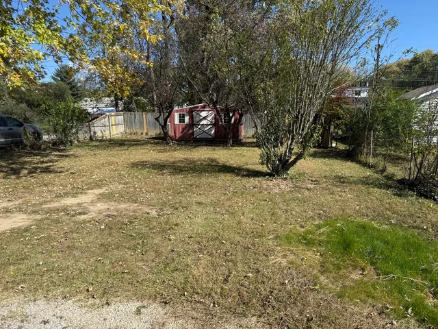 a view of a yard with large trees