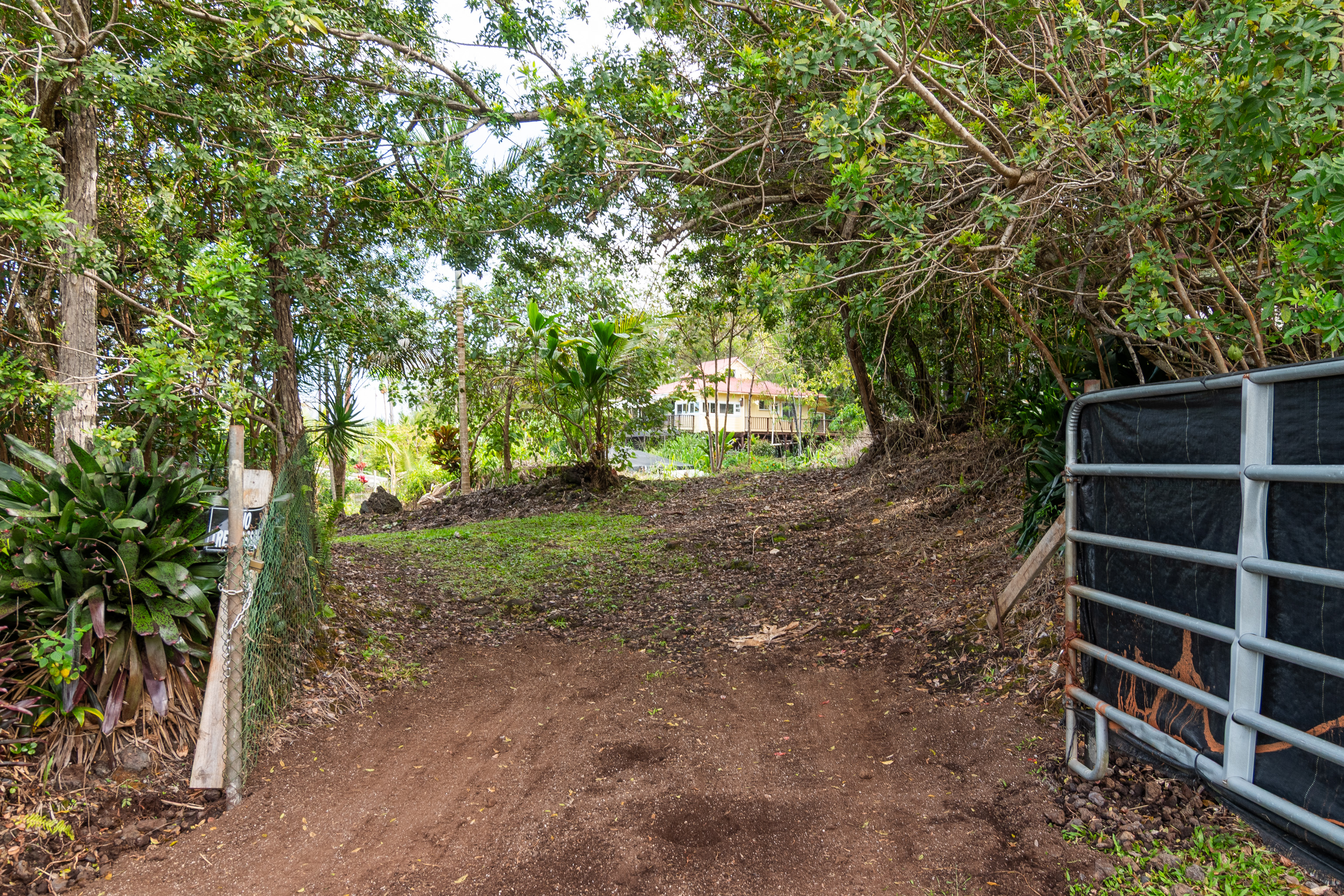 89-1426 Hawaii Belt Road Captain Cook, HI 96704 - Photo 28 of 30 a view of a yard with potted plants and large trees