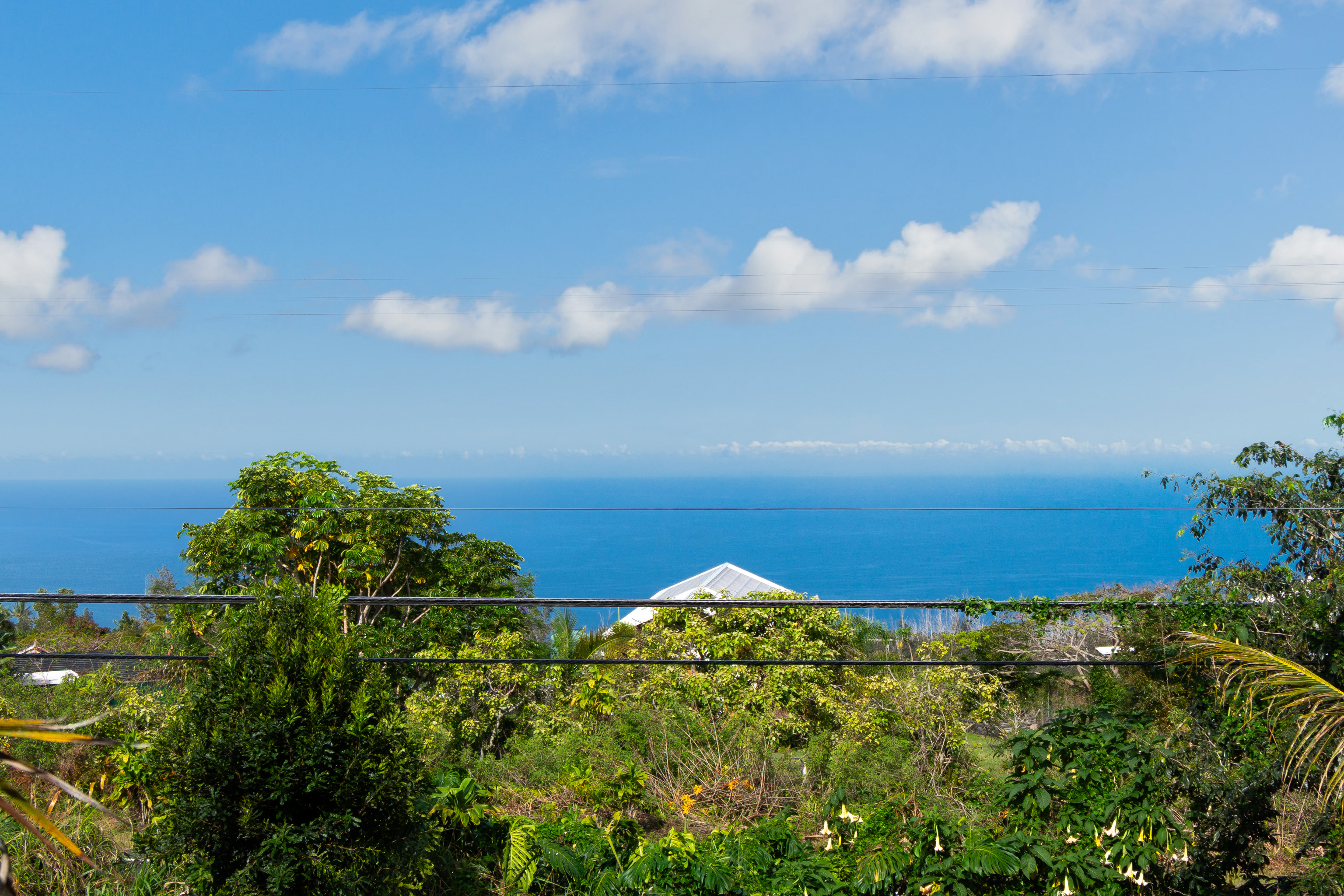 89-1426 Hawaii Belt Road Captain Cook, HI 96704 - Photo 4 of 30