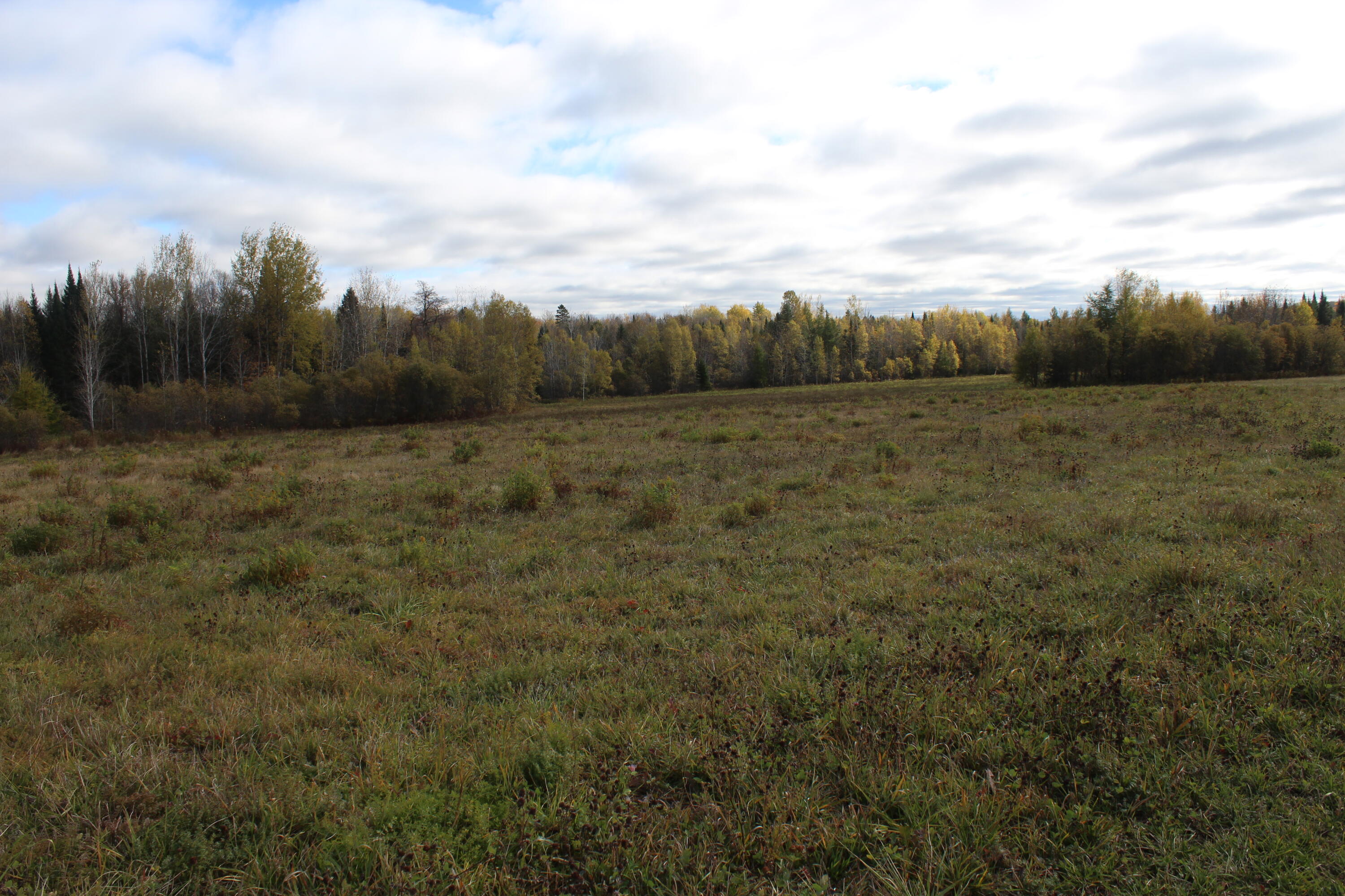 97 Prairie Road Sherman, ME 04776 - Photo 30 of 38 IMG_7120
