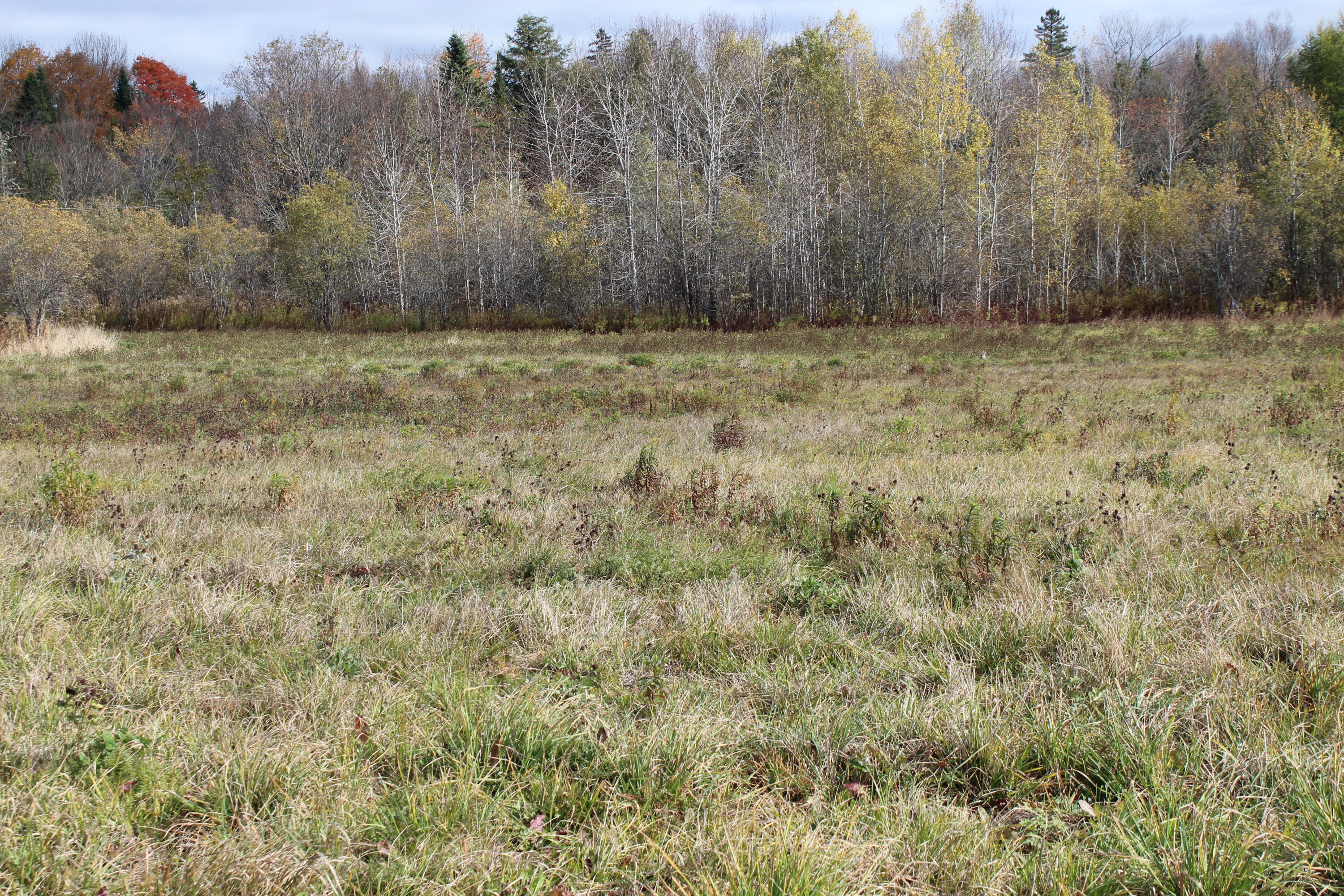 97 Prairie Road Sherman, ME 04776 - Photo 32 of 38 IMG_7111