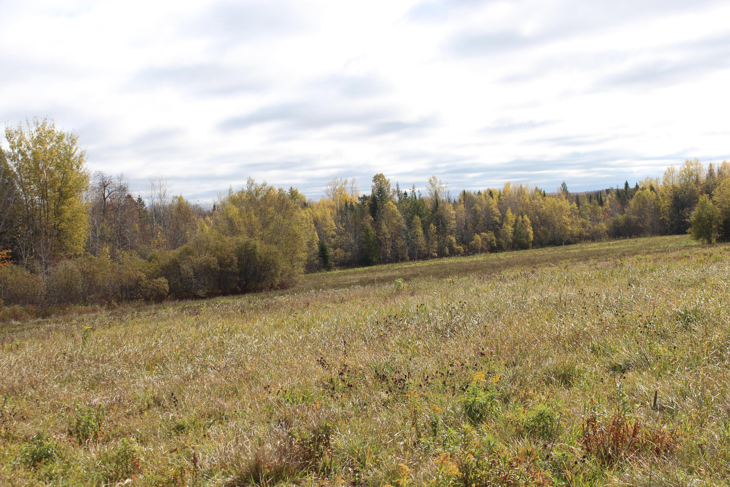 97 Prairie Road Sherman, ME 04776 - Photo 34 of 38 IMG_7110