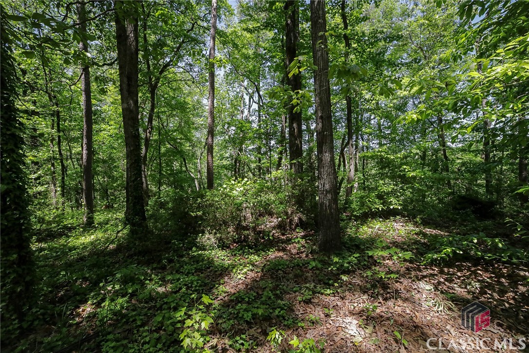 416 Aderhold Rogers Road Commerce, GA 30530 - Photo 42 of 44