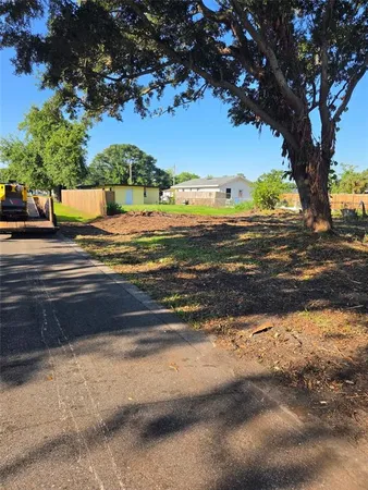a view of a yard with plants and trees