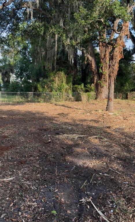 4100 West Robinson Street Orlando, FL 32805 - Photo 2 of 6 a view of a yard with plants and trees