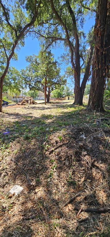4100 West Robinson Street Orlando, FL 32805 - Photo 5 of 6 a view of a yard with a tree